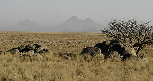 Angola Safaris Fishing Photographic Camping Trips Tours Adventures Marlin Contact Us