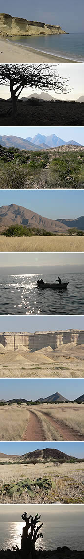 Angola Safaris Fishing Photographic Camping Trips Tours Adventures Marlin Contact Us